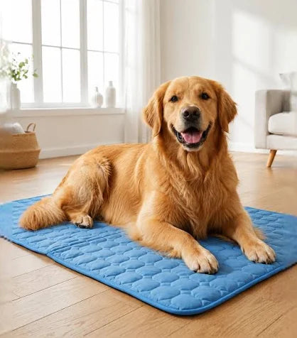 Golden retriever lying on a blue self-cooling gel mat for dogs on a wood floor